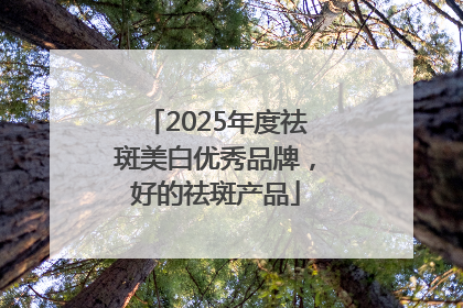 2025年度祛斑美白优秀品牌，好的祛斑产品