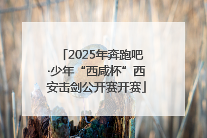 2025年奔跑吧·少年“西咸杯”西安击剑公开赛开赛