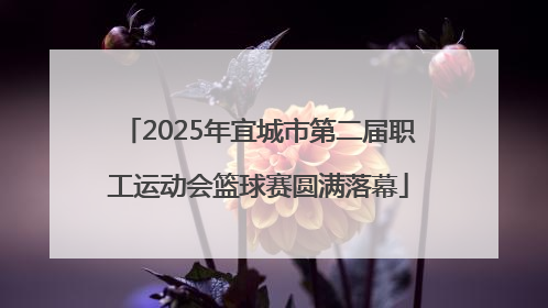 2025年宜城市第二届职工运动会篮球赛圆满落幕