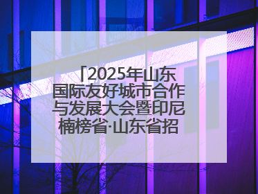 2025年山东国际友好城市合作与发展大会暨印尼楠榜省·山东省招商交流会在济南槐荫举行