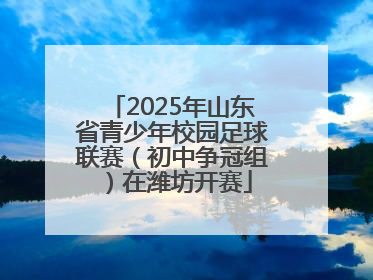 2025年山东省青少年校园足球联赛（初中争冠组）在潍坊开赛