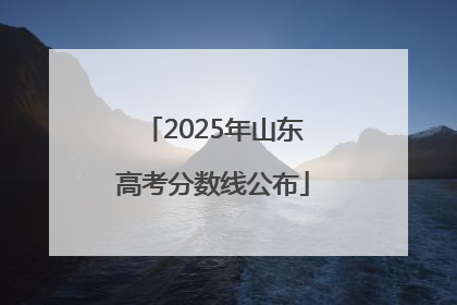 2025年山东高考分数线公布
