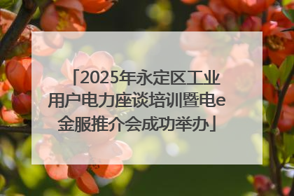 2025年永定区工业用户电力座谈培训暨电e金服推介会成功举办