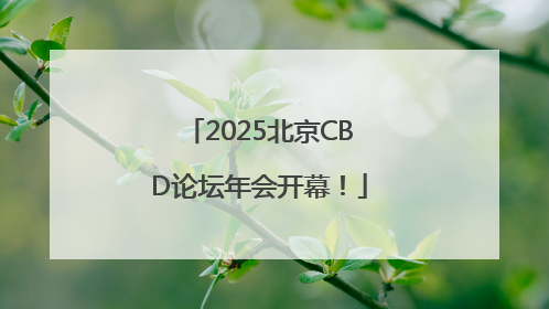 2025北京CBD论坛年会开幕！