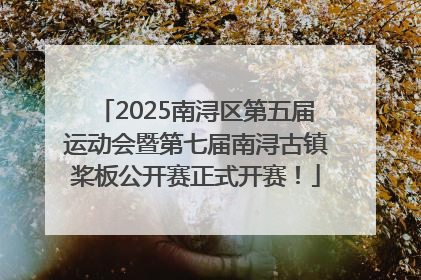 2025南浔区第五届运动会暨第七届南浔古镇桨板公开赛正式开赛！