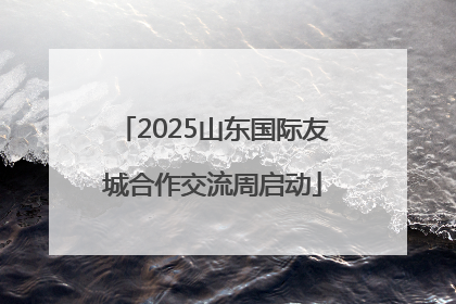 2025山东国际友城合作交流周启动