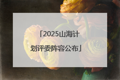 2025山海计划评委阵容公布