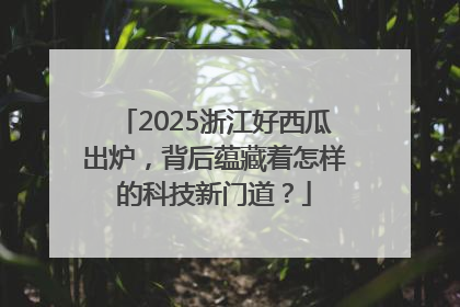 2025浙江好西瓜出炉，背后蕴藏着怎样的科技新门道？