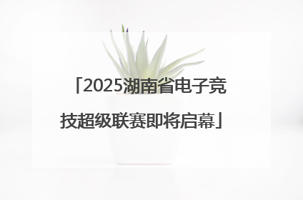 2025湖南省电子竞技超级联赛即将启幕