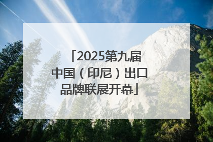 2025第九届中国（印尼）出口品牌联展开幕