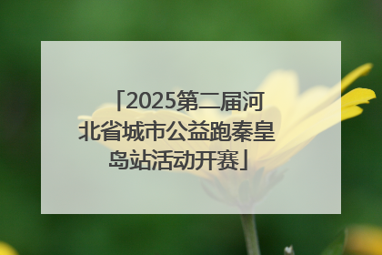 2025第二届河北省城市公益跑秦皇岛站活动开赛