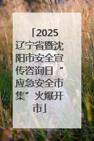 2025辽宁省暨沈阳市安全宣传咨询日“应急安全市集”火爆开市