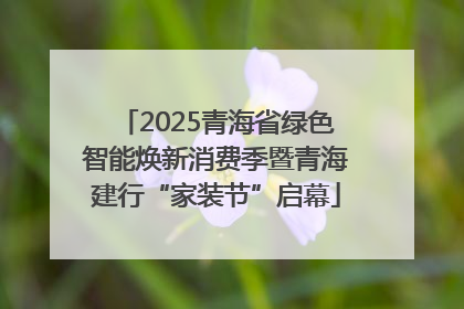 2025青海省绿色智能焕新消费季暨青海建行“家装节”启幕