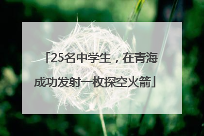25名中学生，在青海成功发射一枚探空火箭