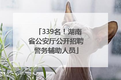 339名！湖南省公安厅公开招聘警务辅助人员