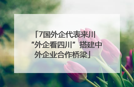 7国外企代表来川 “外企看四川”搭建中外企业合作桥梁