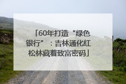 60年打造“绿色银行”：吉林通化红松林藏着致富密码