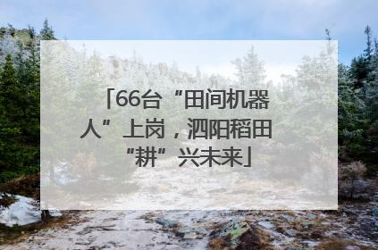 66台“田间机器人”上岗，泗阳稻田“耕”兴未来