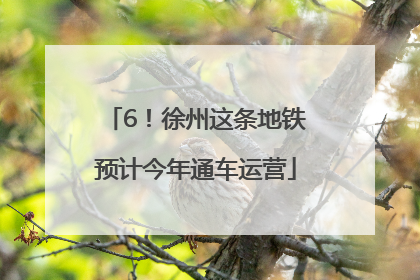 6！徐州这条地铁预计今年通车运营