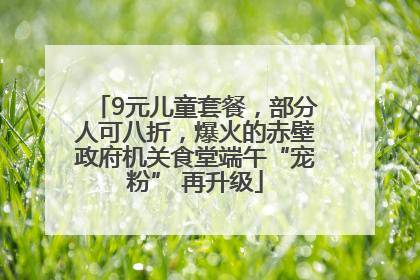 9元儿童套餐，部分人可八折，爆火的赤壁政府机关食堂端午“宠粉” 再升级