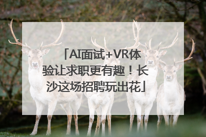 AI面试+VR体验让求职更有趣！长沙这场招聘玩出花