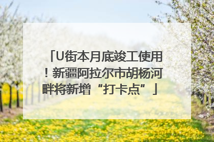 U街本月底竣工使用！新疆阿拉尔市胡杨河畔将新增“打卡点”